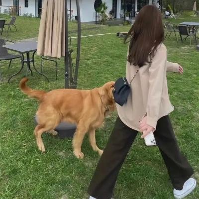 恣意情思 9